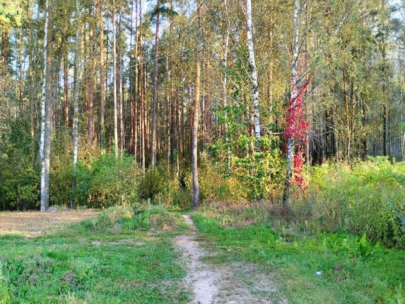 Ретро-экскурсия «Давай пройдемся по Поле»..