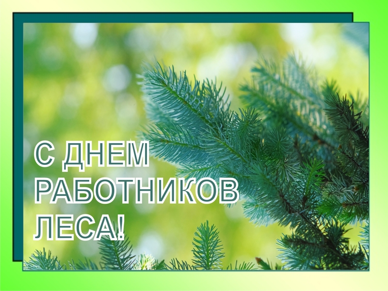 Уважаемые работники лесного хозяйства, лесной и деревообрабатывающей промышленности, ветераны отрасли!.