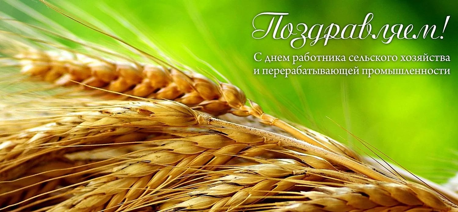 Поздравление с Днем работника сельского хозяйства и перерабатывающей промышленности!.